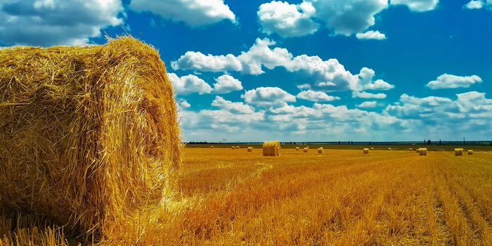 16ee2e55-acca-4443-8112-d3530270f4bd