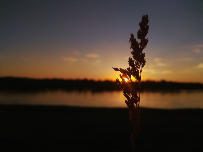 65c181ff-053a-4640-b5ea-bc2800495248