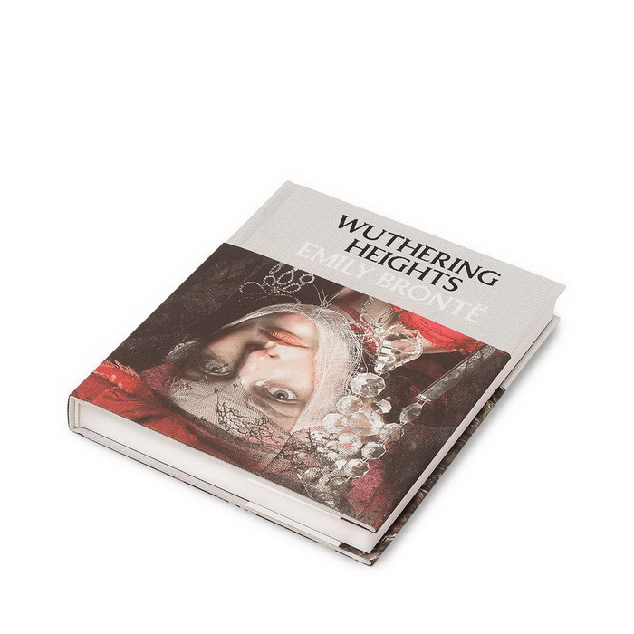 Loewe--переосмысление обложки классики фото 6