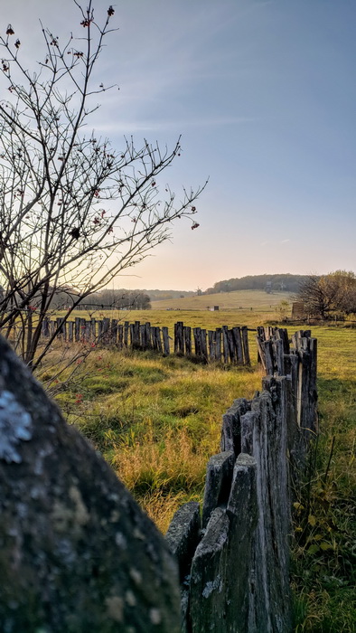 Xiaomi конкурс