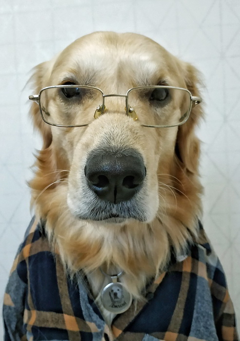 Xiaomi конкурс (2)