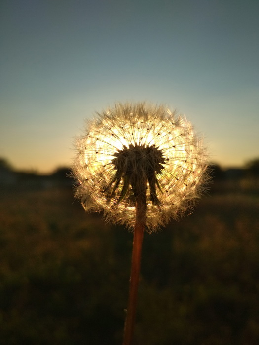 Xiaomi конкурс (5)