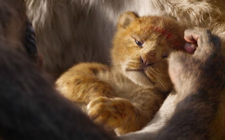10 фильмов и 5 сериалов – Король Лев кадр