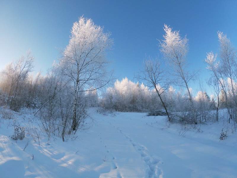 t/sdcard/DCIM/100GOPRO/GOPR0105