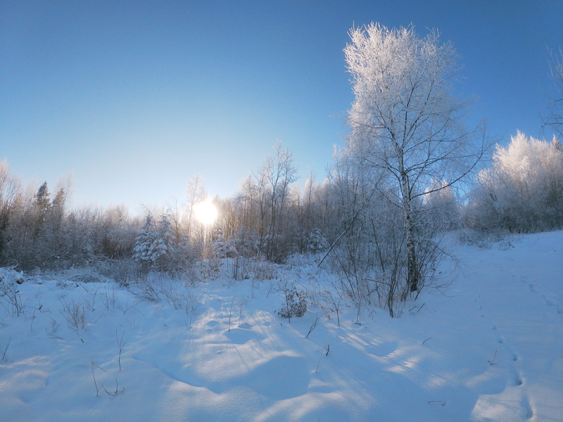 t/sdcard/DCIM/100GOPRO/GOPR0106