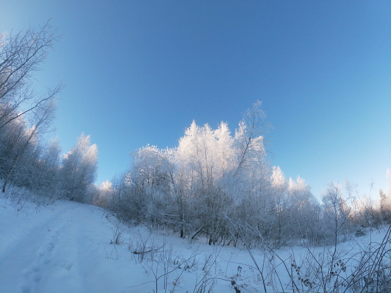 t/sdcard/DCIM/100GOPRO/GOPR0108