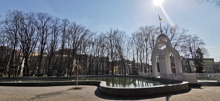 фото P30 Pro (16)