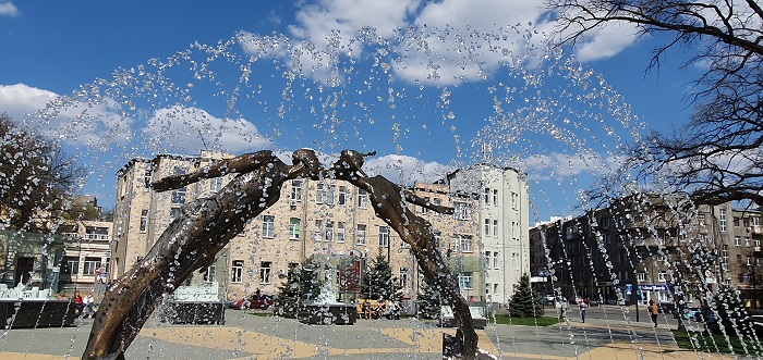 широкоугольная (18)