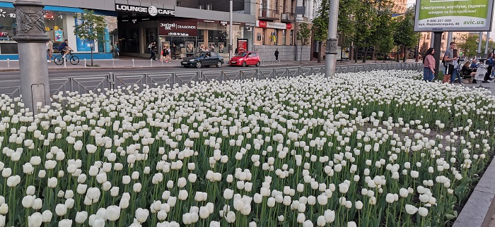 Huawei P30-Pro-13 (14)