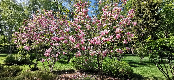 Huawei P30-Pro-13 (3)