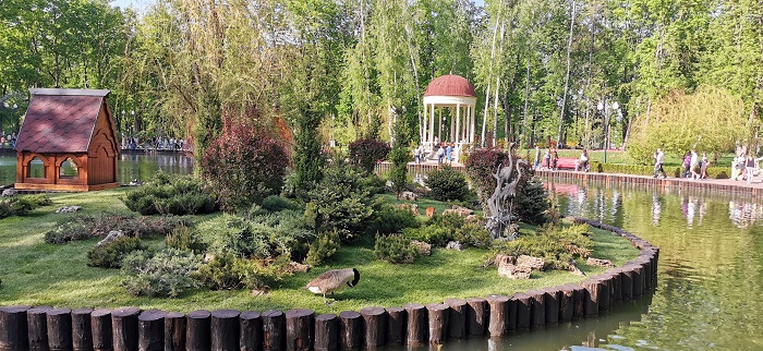 Huawei P30-Pro-13 (7)
