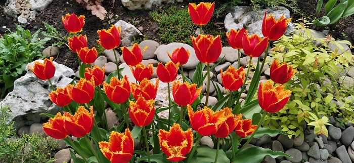 Huawei P30-Pro-13 (8)