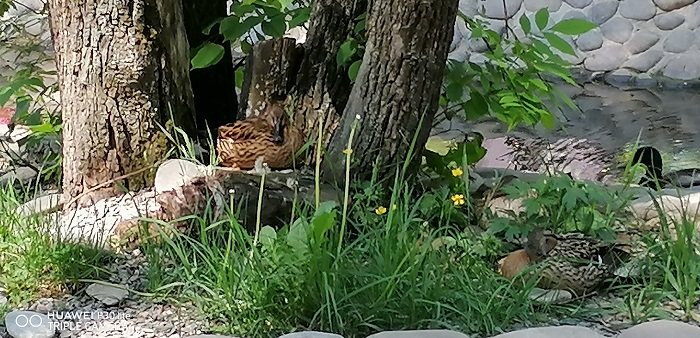 IMG_20190518_130028