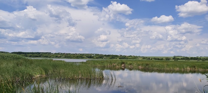 20190610_131022