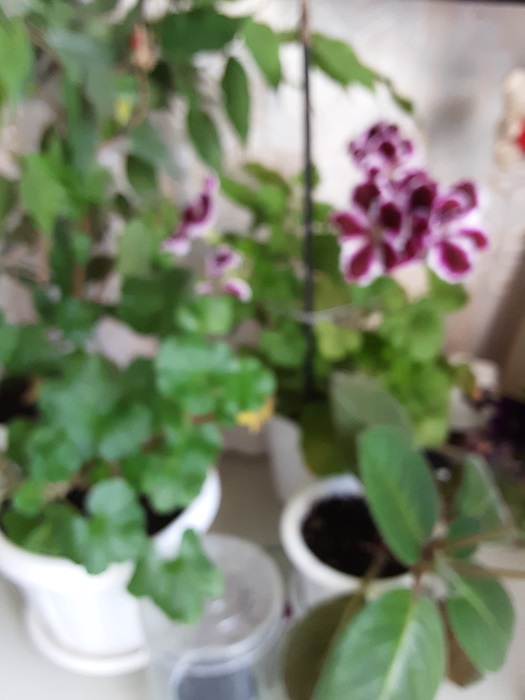 Galaxy_TabA_10-1_2019-3-3 (1)