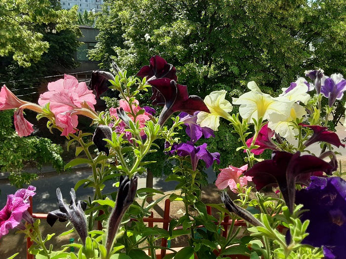 Galaxy_TabA_10-1_2019-3-3 (9)