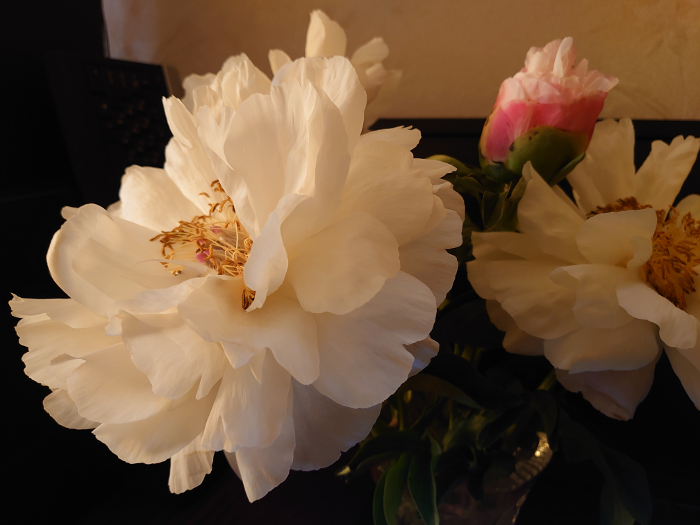 Обзор Sony Xperia 1 – 1