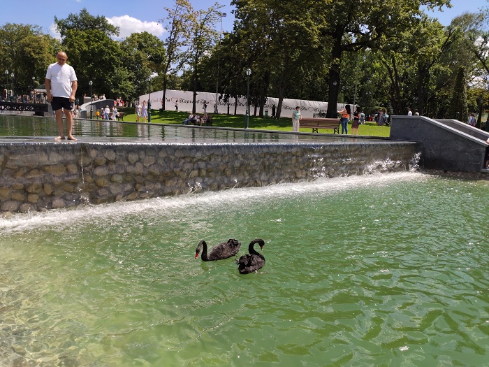 IMG_20190718_125734
