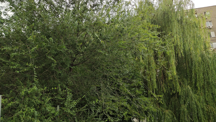 Обзор Vivo V15 и V15 Pro - Фото 3