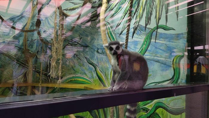 Обзор Vivo V15 и V15 Pro - Фото 4