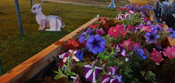 Galaxy Note 10+-ночная съемка (7)