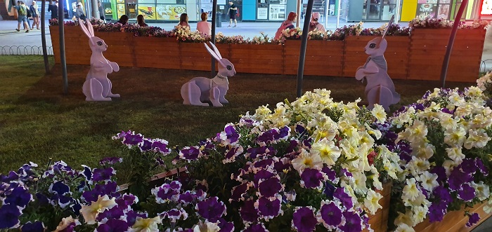 Galaxy Note 10+-ночная съемка (9)