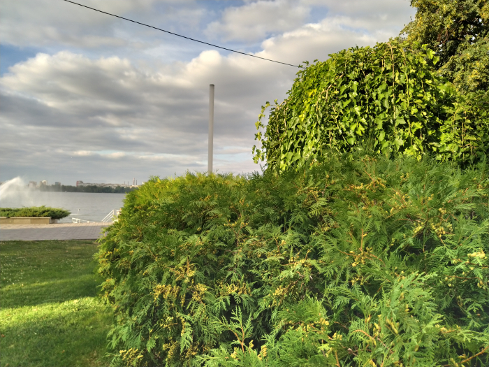 Обзор Xiaomi Mi A3 – Фото 2