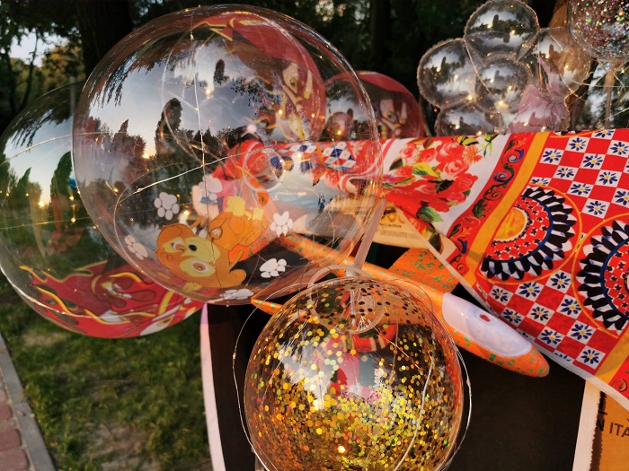 Photo P Smart Z (10)