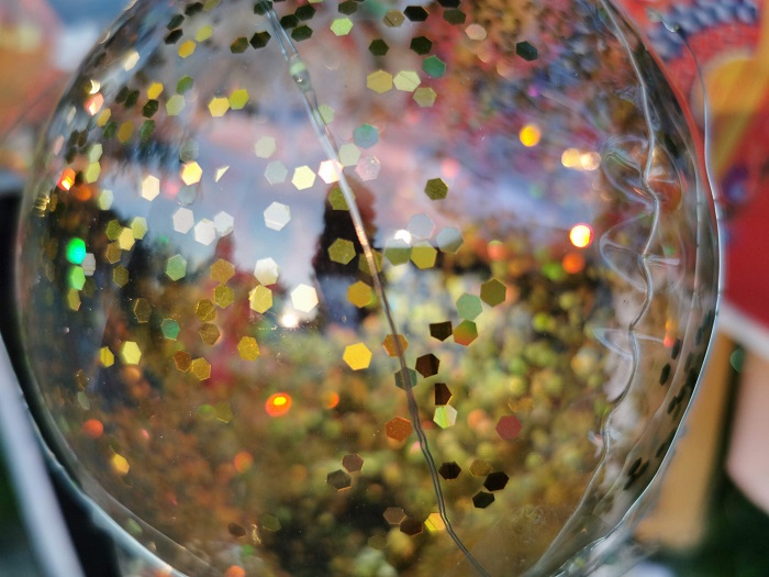 Photo P Smart Z (11)