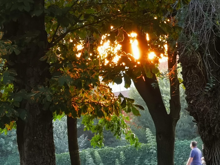 Photo P Smart Z (13)