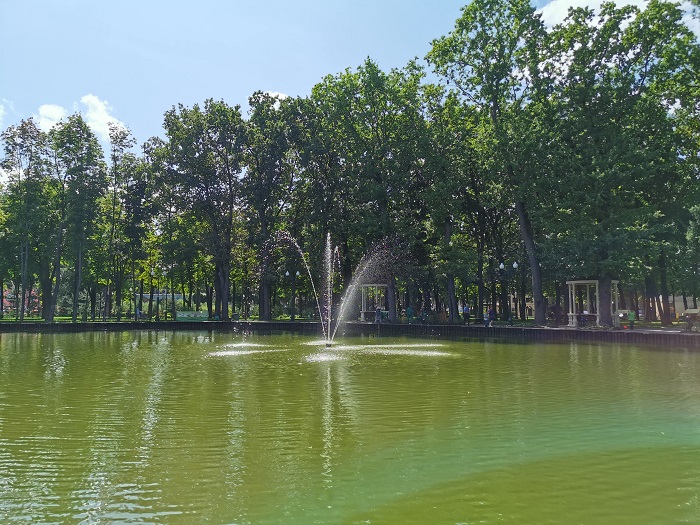 Photo P Smart Z (16)