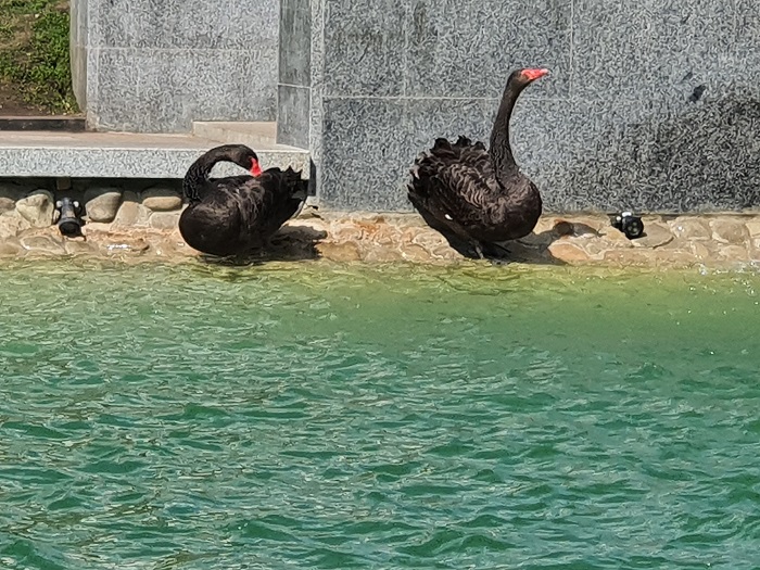 обычные фото на Note 10+ (2)