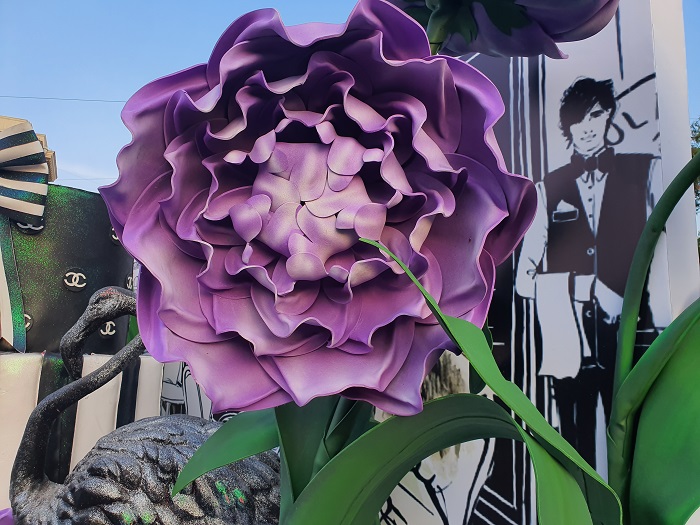 обычные фото на Note 10+ (25)