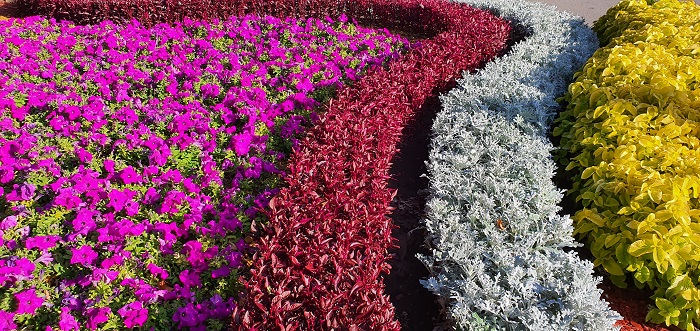 широкоугольный объектив Note 10+ (13)