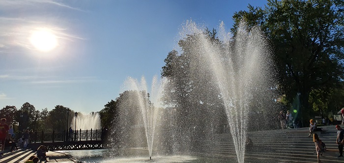 широкоугольный объектив Note 10+ (15)