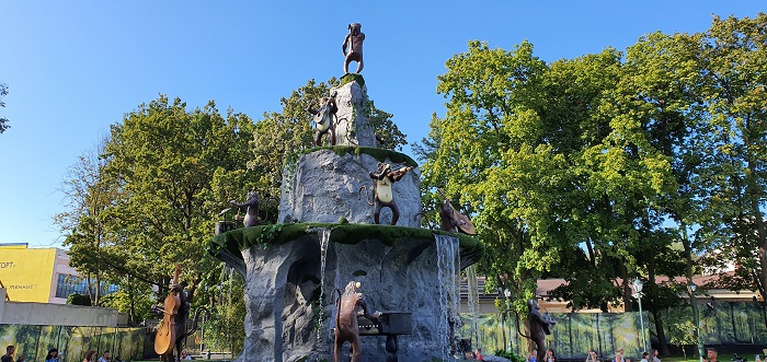 широкоугольный объектив Note 10+ (6)