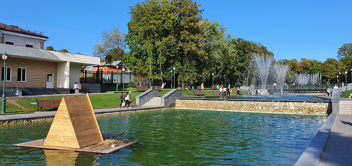 широкоугольный объектив Note 10+ (7)