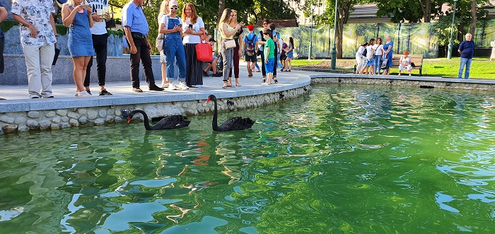 широкоугольный объектив Note 10+ (8)