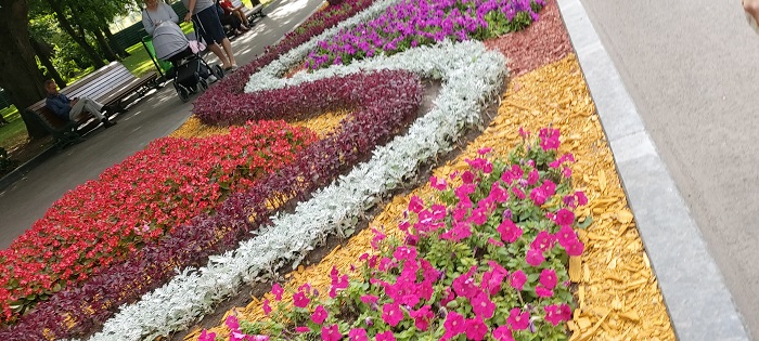 широкоугольный объектив (4)