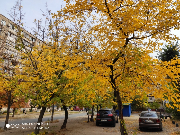 Обзор Mi 9 Lite – Фото3