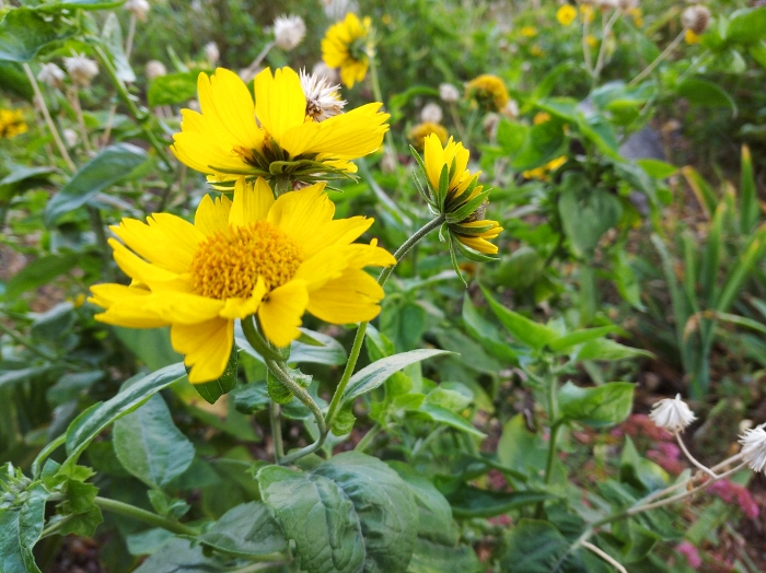 Обзор Redmi 8 – Фото1