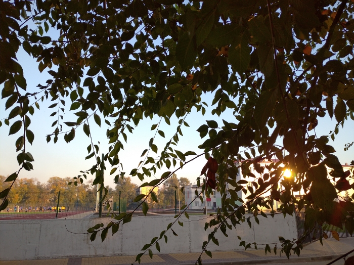 Обзор Redmi 8 – Фото3