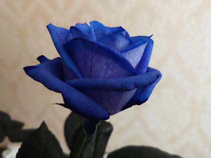 Обзор Redmi 8 – Фото4