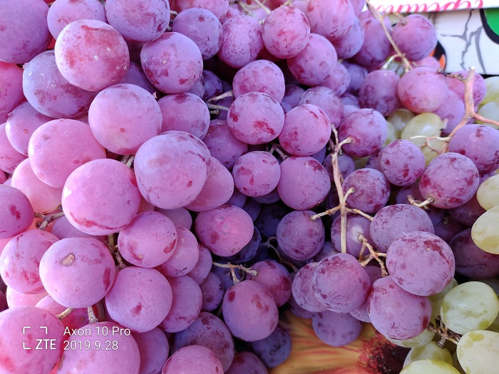 ZTE Axon 10 Pro- 48 MP (11)