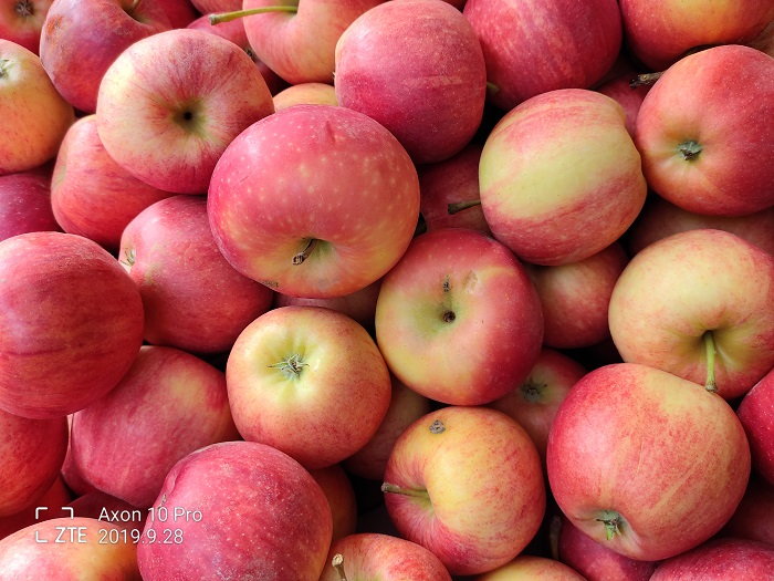 ZTE Axon 10 Pro- 48 MP (12)