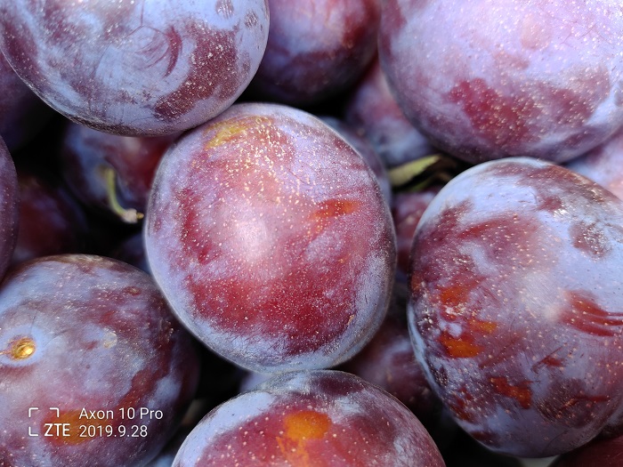 ZTE Axon 10 Pro- 48 MP (13)