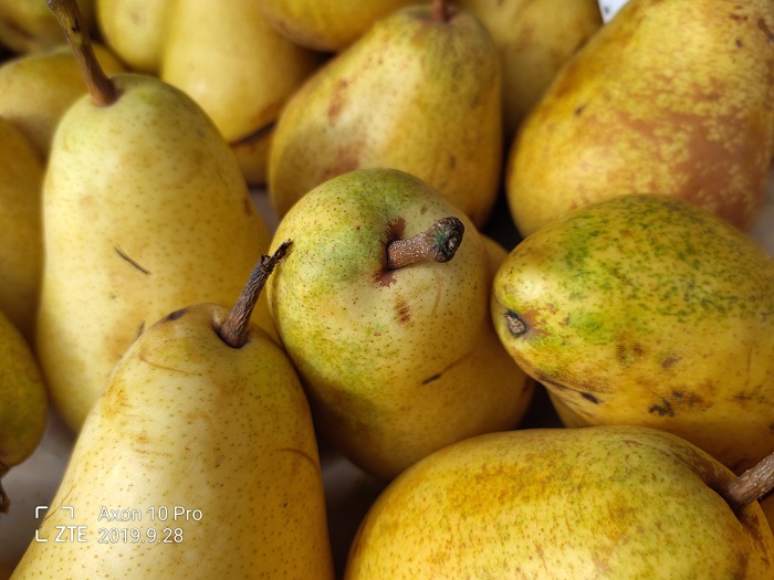 ZTE Axon 10 Pro- 48 MP (14)