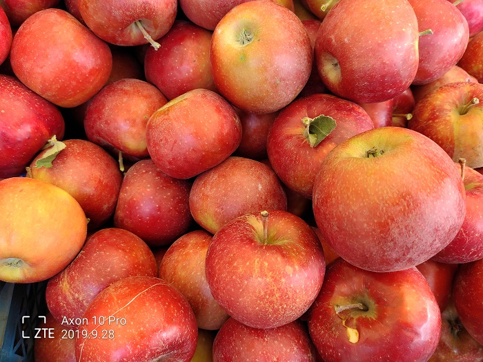 ZTE Axon 10 Pro- 48 MP (15)