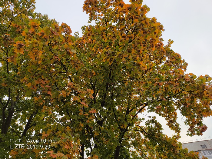 ZTE Axon 10 Pro- 48 MP (20)