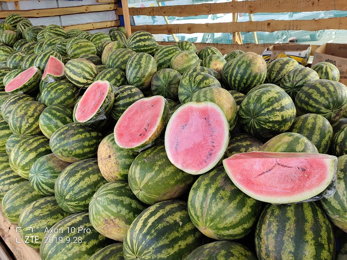 ZTE Axon 10 Pro- 48 MP (5)